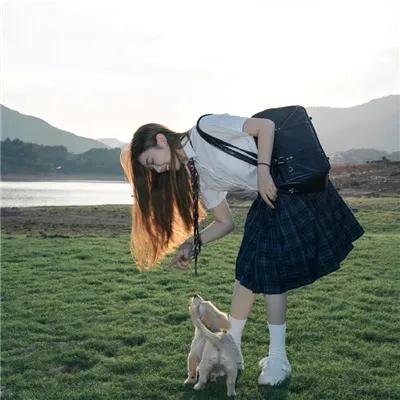 棕泉春光